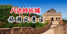 操逼操爽插穴动画网中国北京-八达岭长城旅游风景区